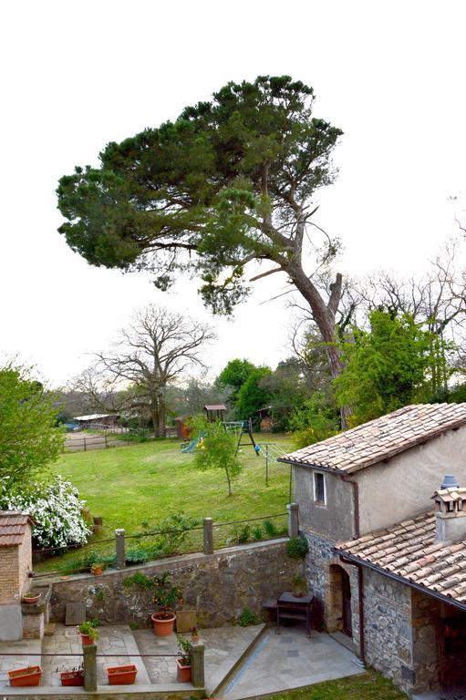 Agriturismo Tenuta Buon Respiro Orvieto Buitenkant foto