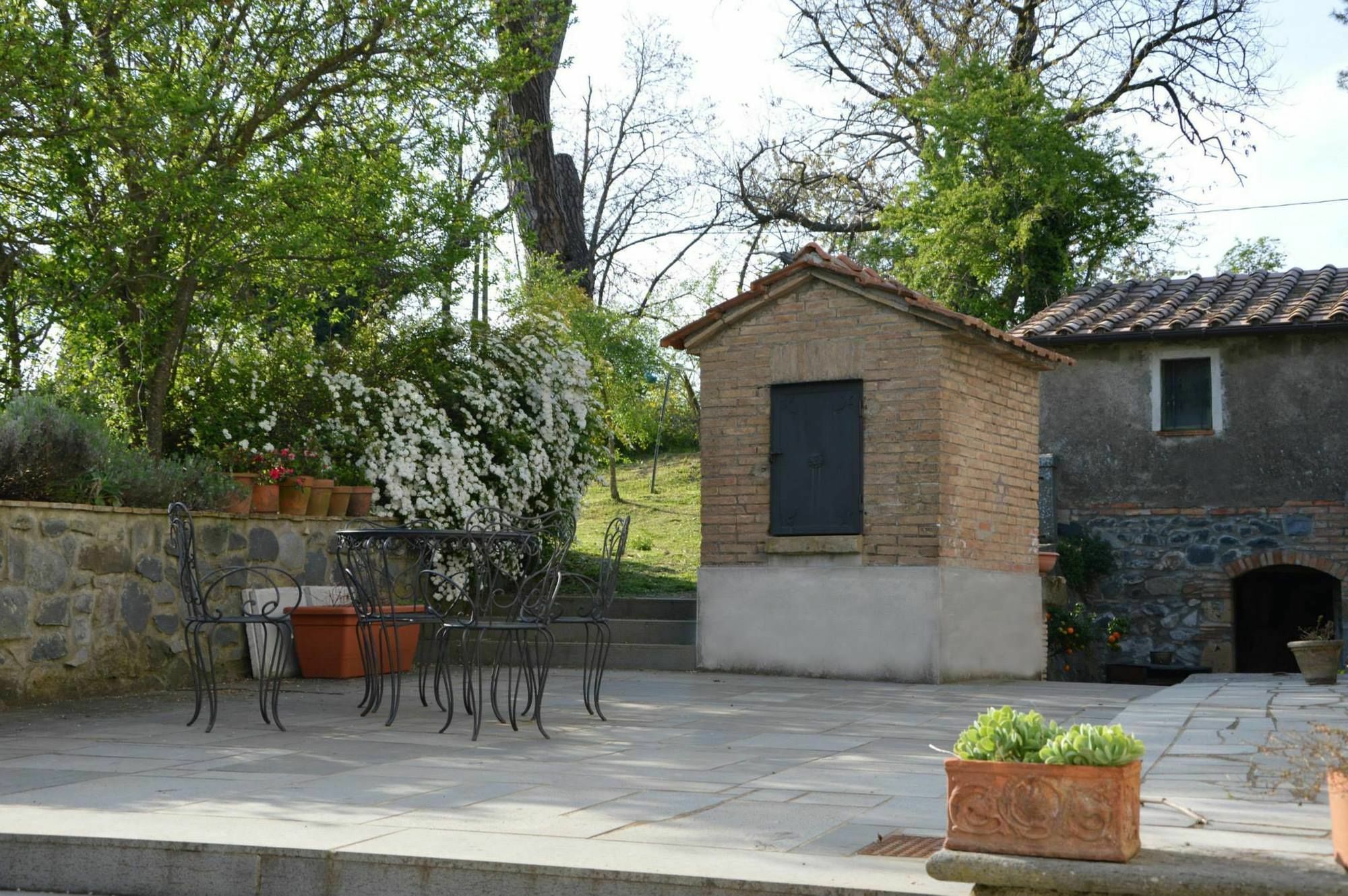 Agriturismo Tenuta Buon Respiro Orvieto Buitenkant foto